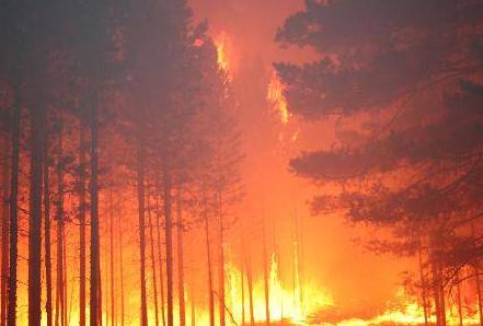 雷電所造成的危害—和你有關的3點要知道(連載2)【易造防雷】
