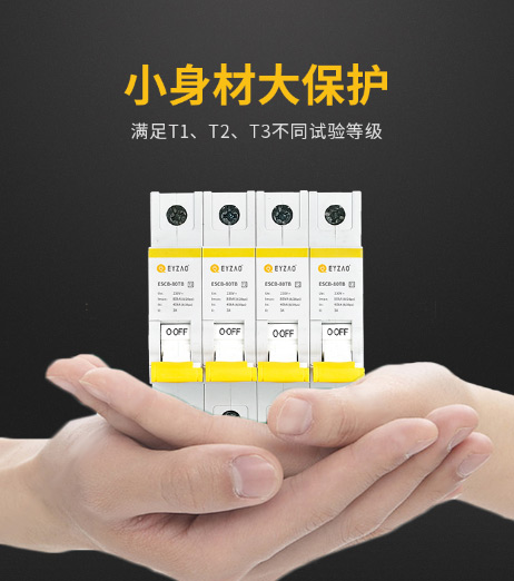 T1級后備保護器 T1級后備保護器