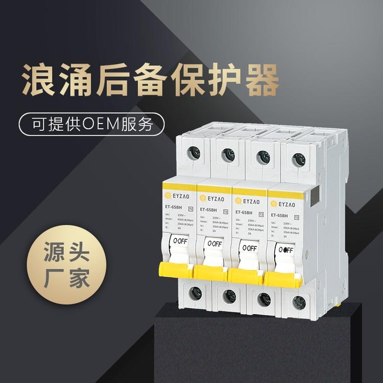 SPD浪涌后備保護(hù)器 SPD浪涌后備保護(hù)器