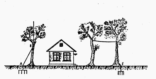怎樣設(shè)計(jì)建筑物的防雷設(shè)備—利用樹(shù)木做避雷針的支柱 怎樣設(shè)計(jì)建筑物的防雷設(shè)備—利用樹(shù)木做避雷針的支柱