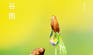 谷雨｜春生萬物長,雨落逢初夏-你準(zhǔn)備好迎接夏天了嗎--易造防雷