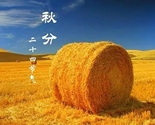 秋分 | 秋色灑滿大地，滿目秋意為伴